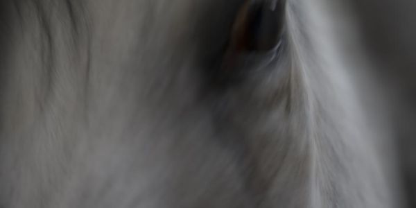 Interview with Photologio